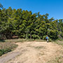 Passo delle Crocicchie 