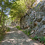 Pendici scogliose del Monte Falco