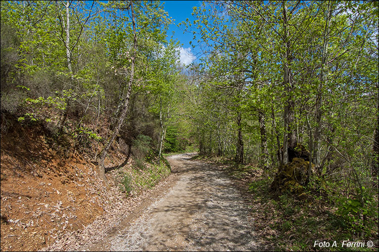 Verso il Torrente Bonano