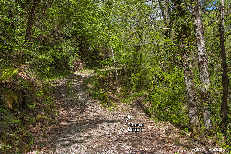 Strade verso il Torrente Bonano