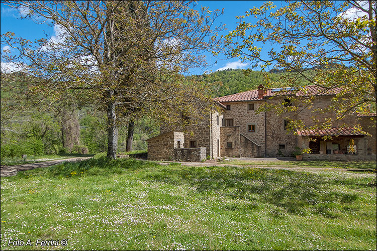 Pian di Reggi
