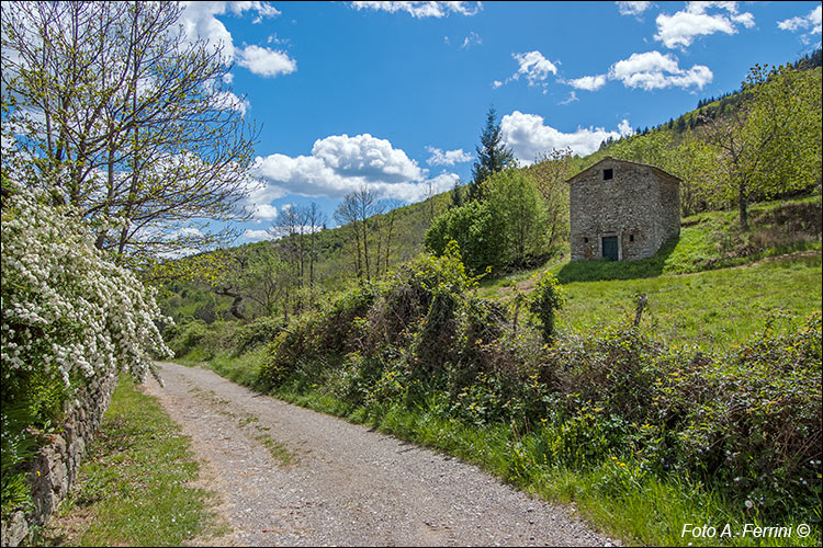 Verso il Ponte di Annibale