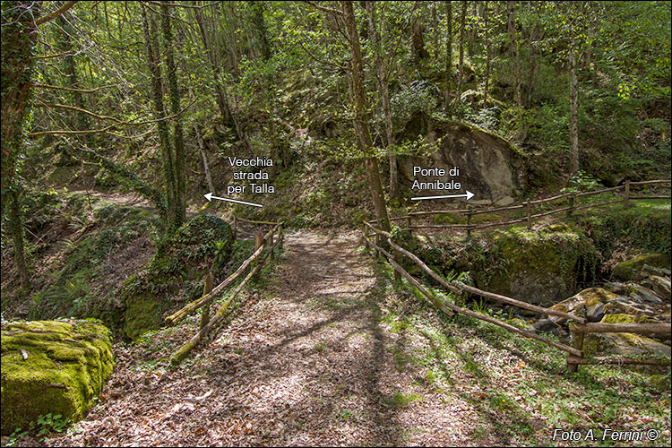 Ponte sul Ginesso