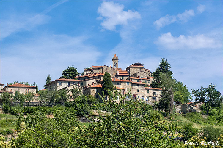 Vista di Faltona