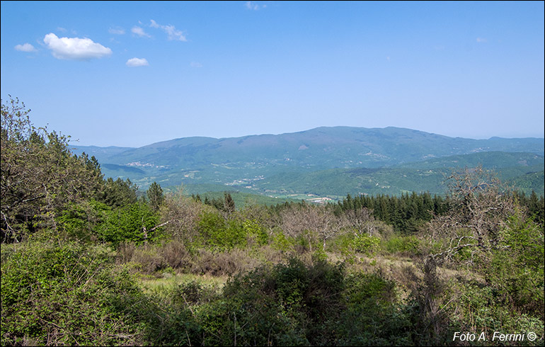Panorama da Poggio Catarozzo