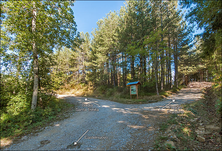 Via per Poggio Pratolino