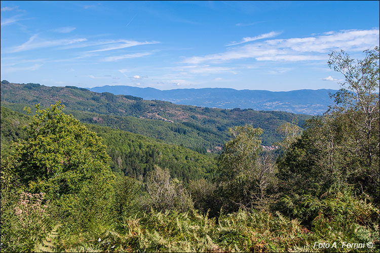 Panorama sul Casentino