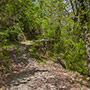 Strade verso il Torrente Bonano