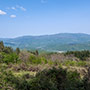 Panorama da Poggio Catarozzo
