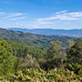 Panorama sul Casentino