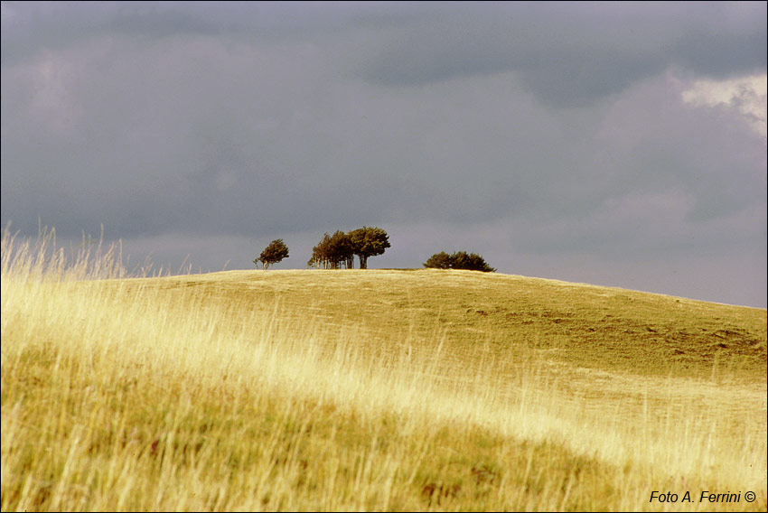PAESAGGIO AREZZO