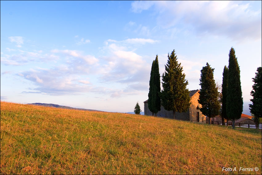 PAESAGGIO TOSCANA
