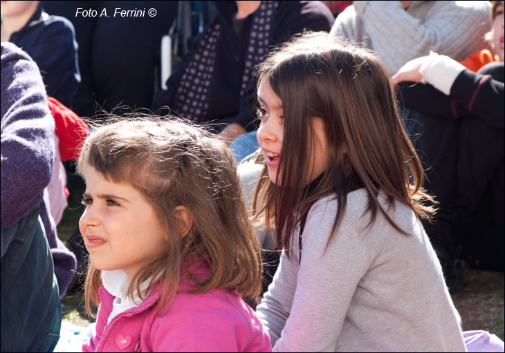 Compagnia delle Arti