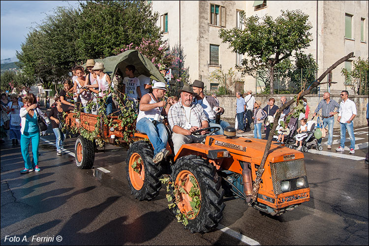 Subbiano, Festa dell’Uva