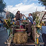 Subbiano, Festa dell’Uva