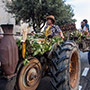 Subbiano, Festa dell’Uva