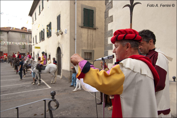 Saracino Talla