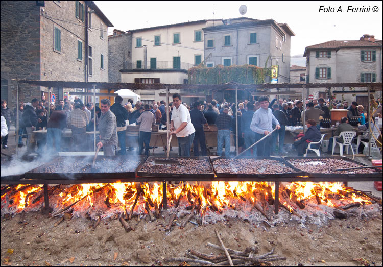 Castagne del Casentino