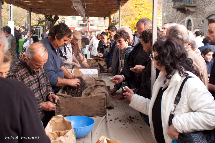 Sagra castagna Talla