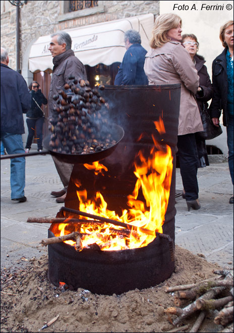 Marroni del Casentino