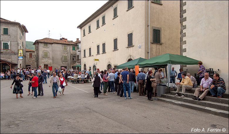 Sagra pecorino e baccelli