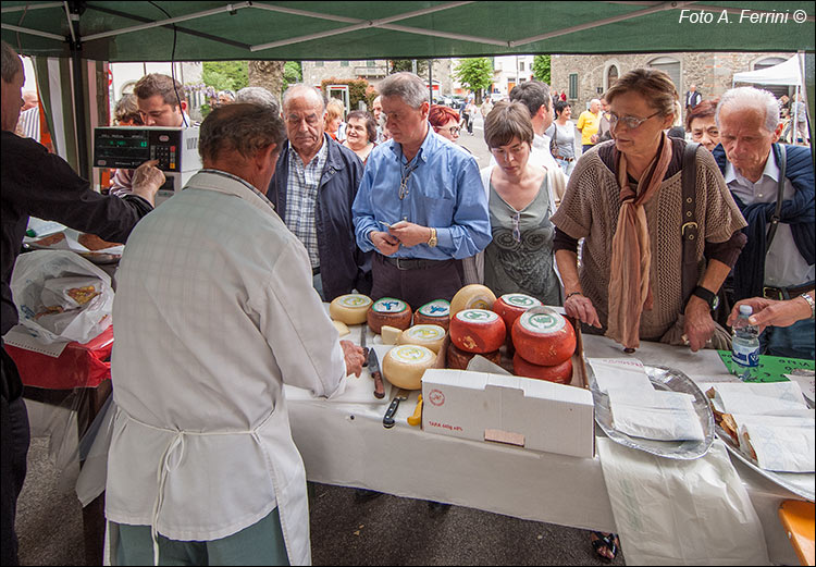 Sagra pecorino e baccelli