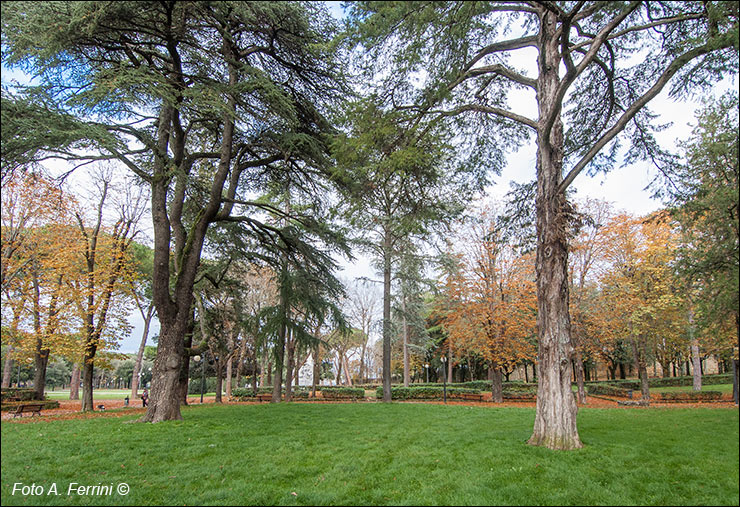 Il Prato, Arezzo
