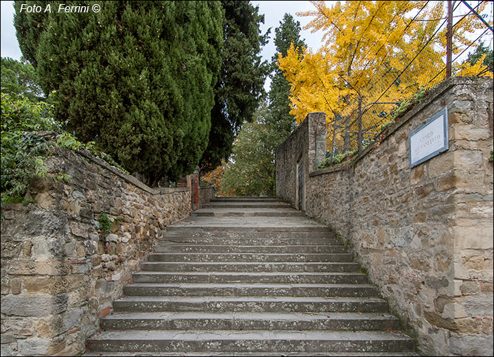 Vicolo del Cancello: strade per il Prato