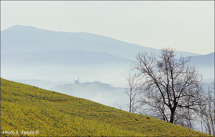 Casentino: winter landscape