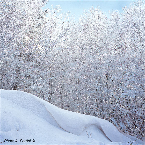 Casentino: the National Park