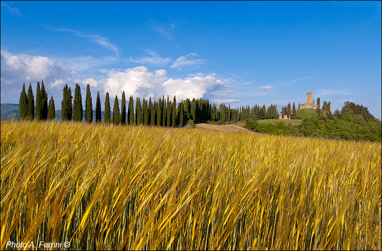 Casentino: Romena Castle