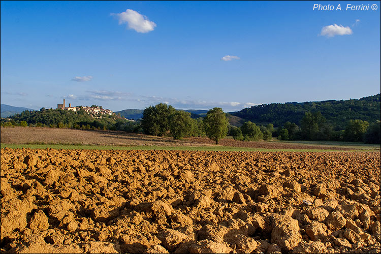 Casentino: view of Poppi from the north