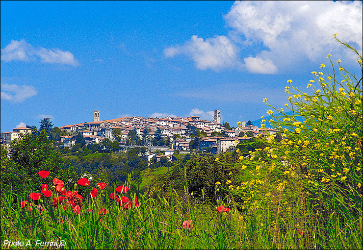 Casentino: Bibbiena