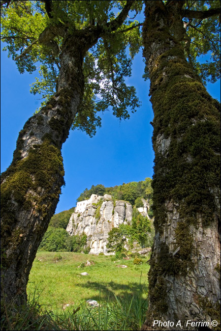 Casentino: La Verna