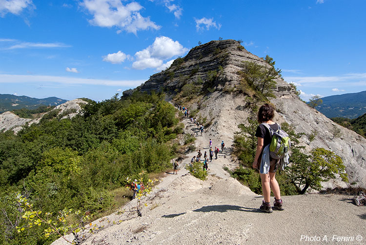 Casentino: the Romea Road