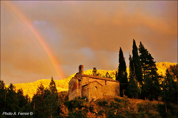 Casentino: Castellaccia di Talla