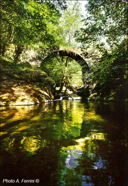 Casentino: Ponte di Sasso in Capraia