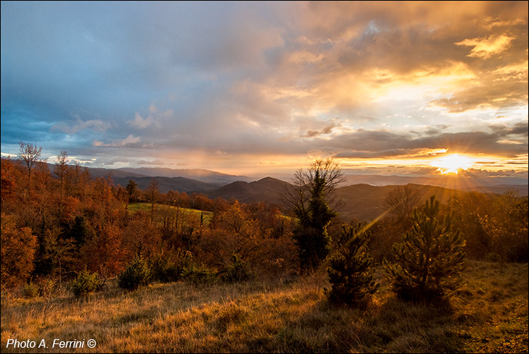 Casentino: Alpe di Catenaia