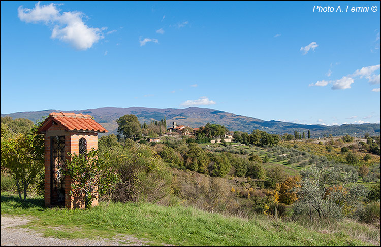 Casentino: Municipality of Capolona