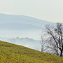 Casentino: paesaggio invernale