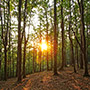 Casentino, the National Park