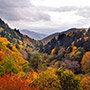 Casentino forests of Camaldoli