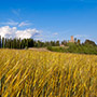 Casentino: Romena Castle