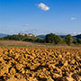 Casentino: vista di Poppi da nord