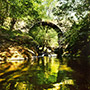 Casentino: Ponte di Sasso in Capraia