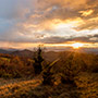 Casentino: Alpe di Catenaia