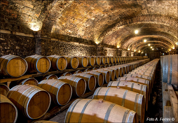 Cantine del Borro