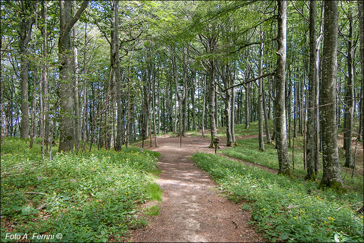 Passo della Crocina