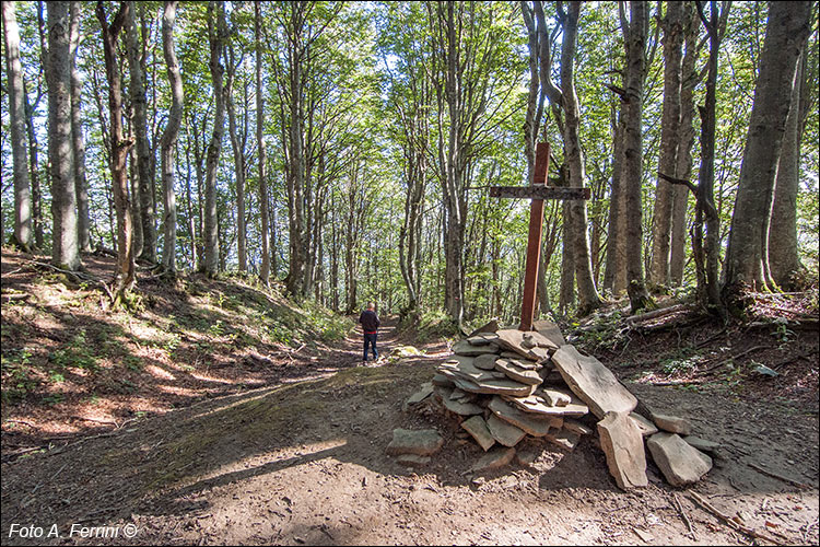 Passo della Crocina, CAI 207