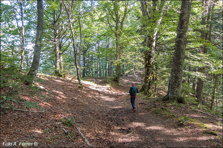 Passo della Bertesca